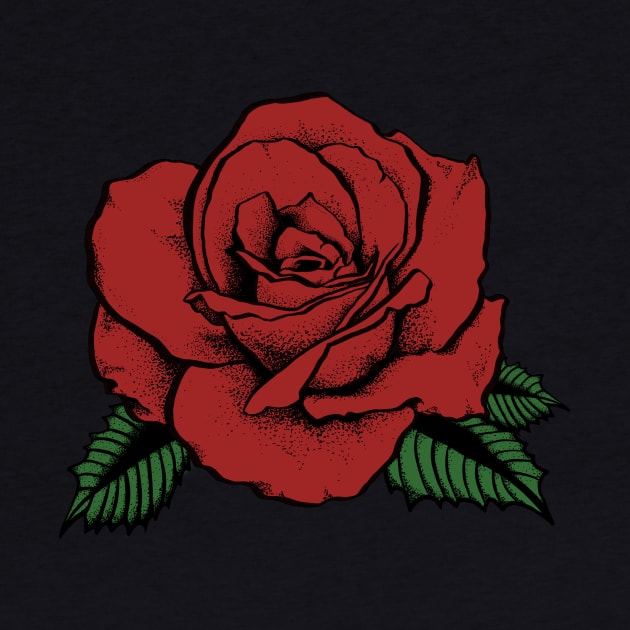 red rose by somatosis